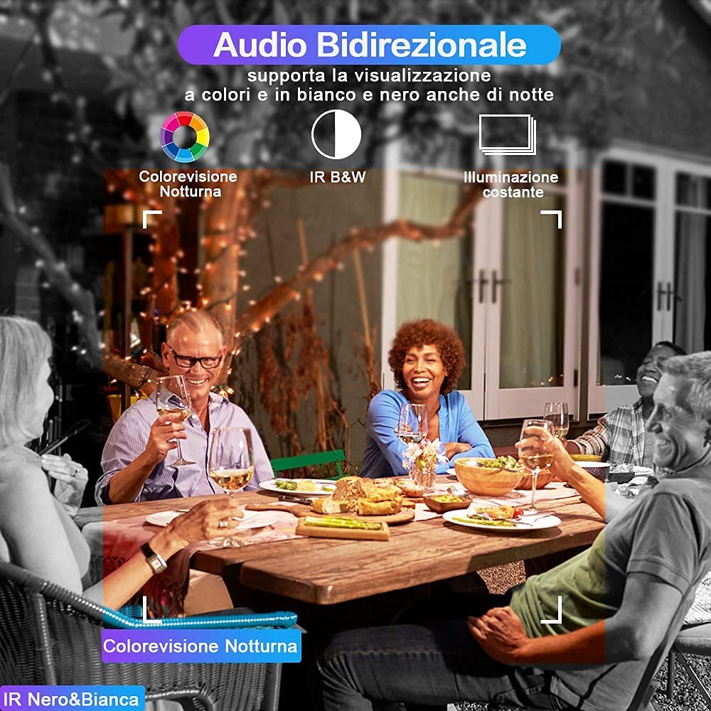 71VcXq0Ds9L._AC_SL1000_