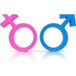 Progetto senza titolo (77) Progetto senza titolo (77)